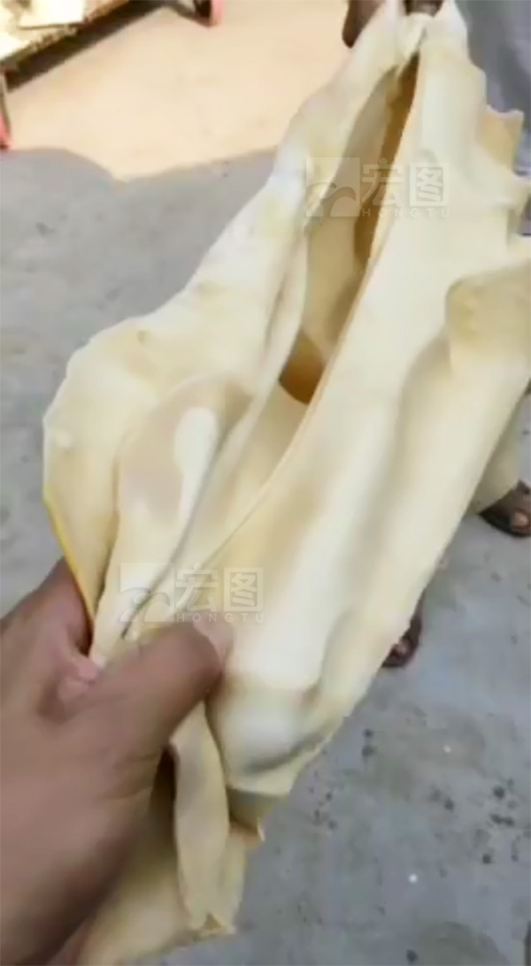 石膏模具硅膠抗撕拉測試